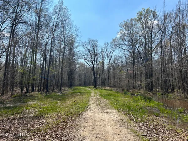 $923,685 | Ms-8, Calhoun City, MS 38916