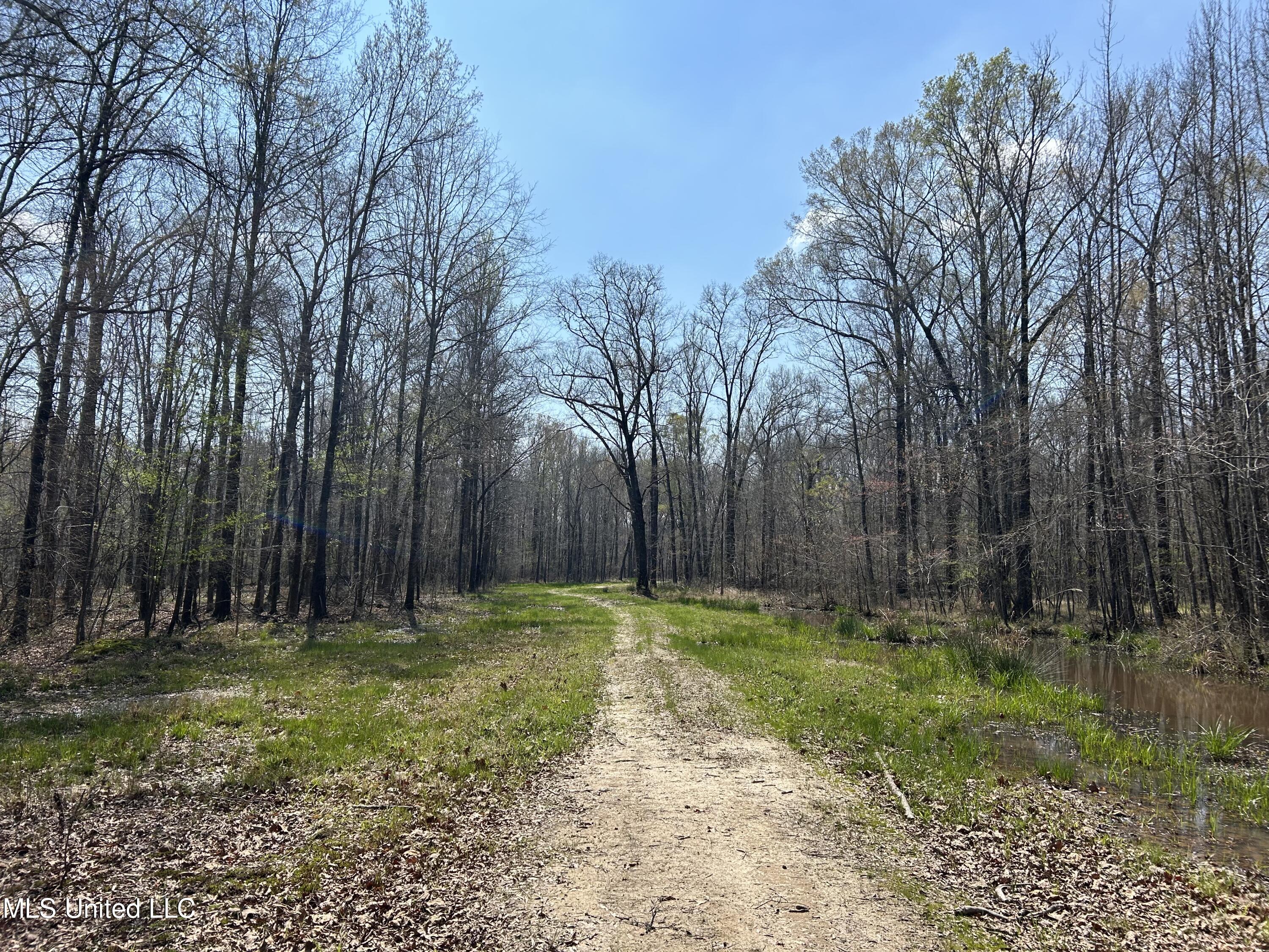 Ms-8 Calhoun City, MS 38916 - Photo 13 of 61 Photo Mar 23 2024, 12 03 11 PM
