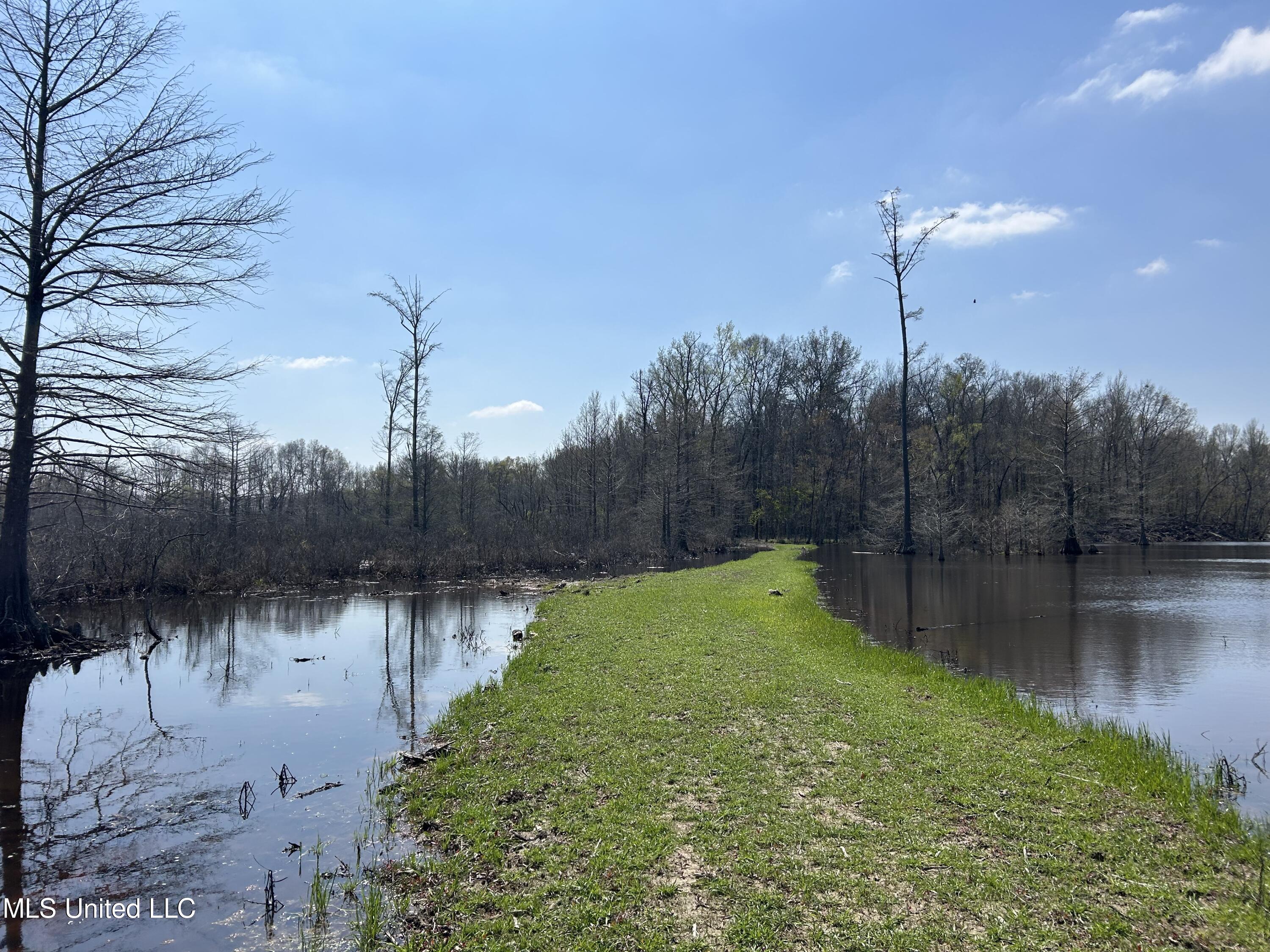 Ms-8 Calhoun City, MS 38916 - Photo 14 of 61 Photo Mar 23 2024, 12 05 15 PM
