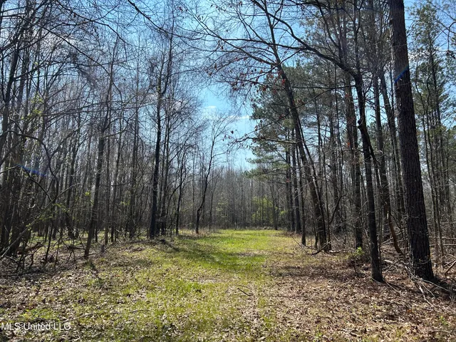 $923,685 | Ms-8, Calhoun City, MS 38916