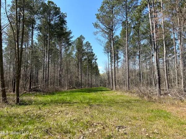 $923,685 | Ms-8, Calhoun City, MS 38916