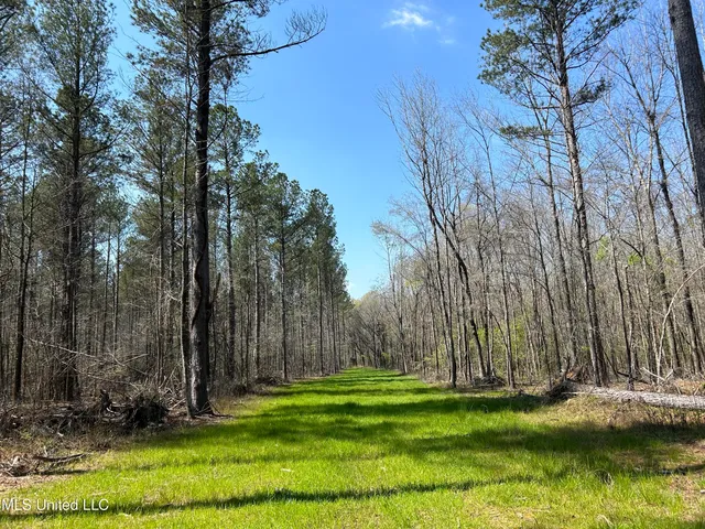 $923,685 | Ms-8, Calhoun City, MS 38916