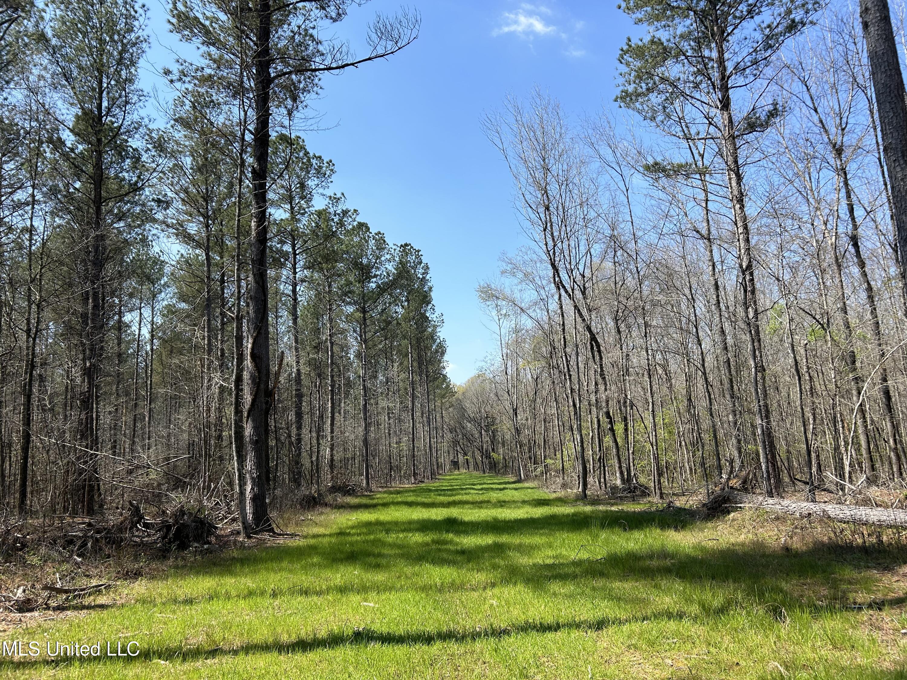 Ms-8 Calhoun City, MS 38916 - Photo 17 of 61 Photo Mar 23 2024, 12 22 08 PM