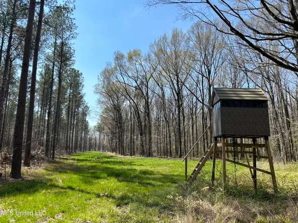 $923,685 | Ms-8, Calhoun City, MS 38916