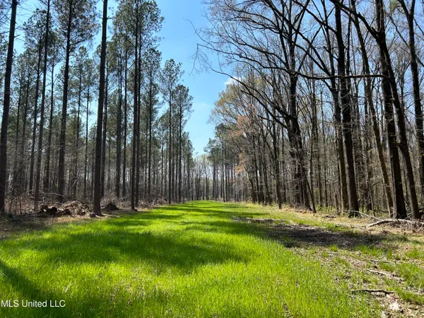 $923,685 | Ms-8, Calhoun City, MS 38916