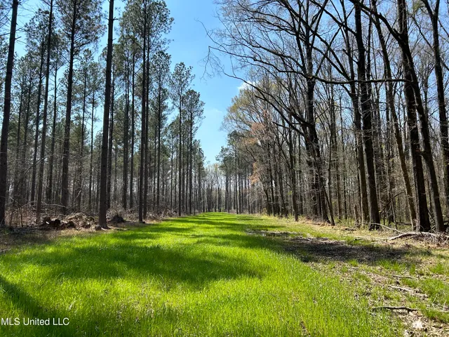 $923,685 | Ms-8, Calhoun City, MS 38916