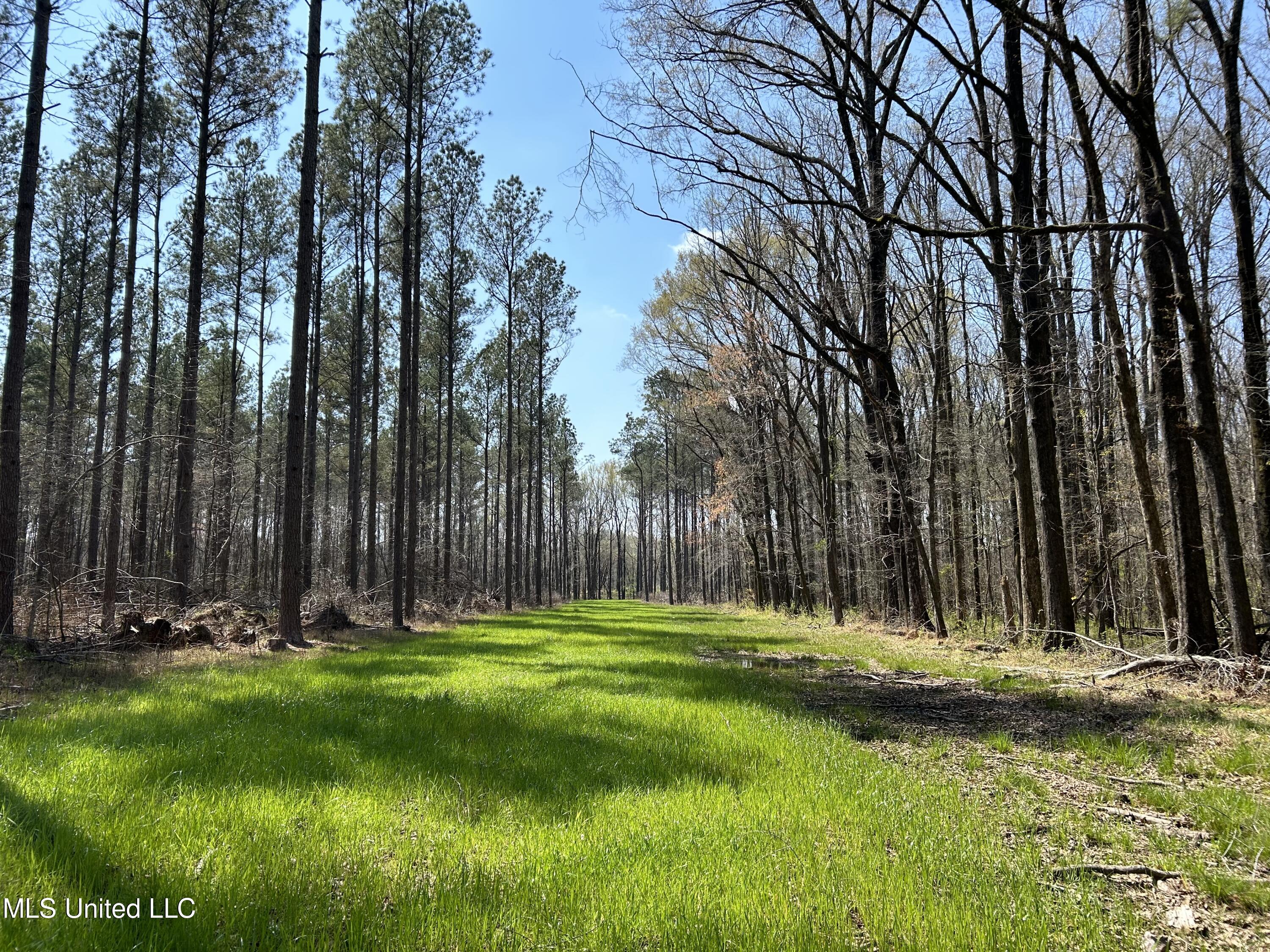 Ms-8 Calhoun City, MS 38916 - Photo 19 of 61 Photo Mar 23 2024, 12 25 55 PM