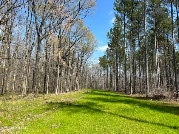 $923,685 | Ms-8, Calhoun City, MS 38916