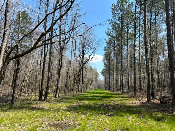 $923,685 | Ms-8, Calhoun City, MS 38916