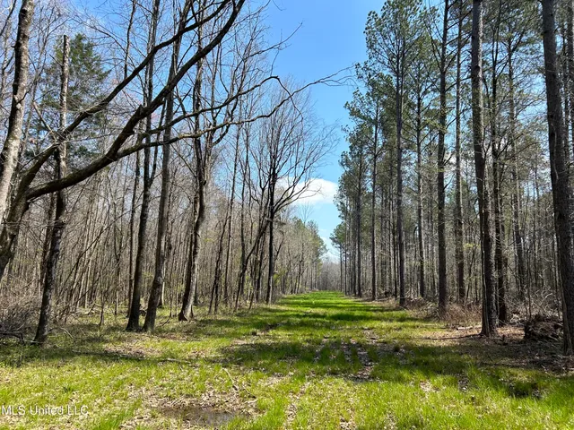 $923,685 | Ms-8, Calhoun City, MS 38916