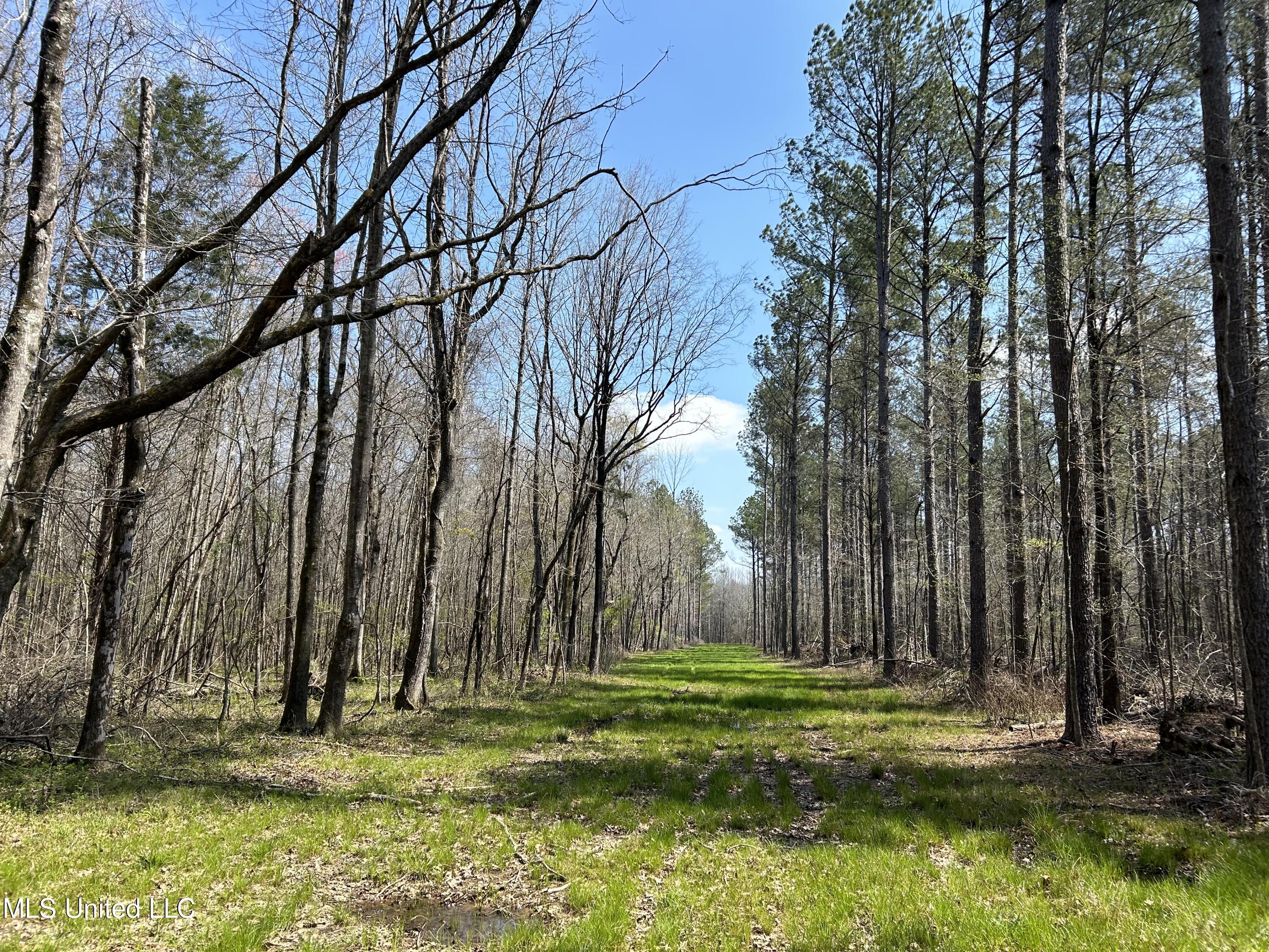 Ms-8 Calhoun City, MS 38916 - Photo 21 of 61 Photo Mar 23 2024, 12 34 42 PM