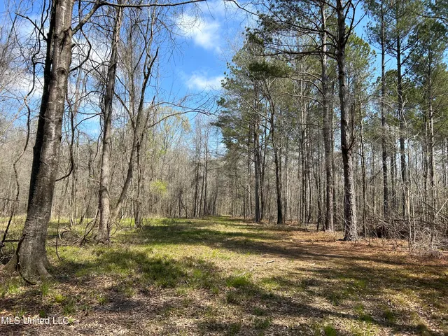 $923,685 | Ms-8, Calhoun City, MS 38916