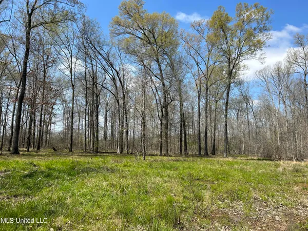 $923,685 | Ms-8, Calhoun City, MS 38916