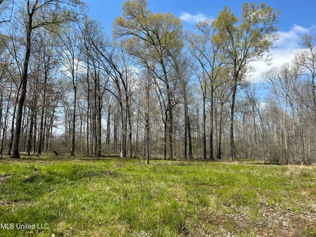 $923,685 | Ms-8, Calhoun City, MS 38916