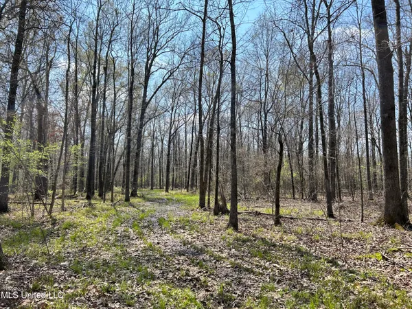 $923,685 | Ms-8, Calhoun City, MS 38916