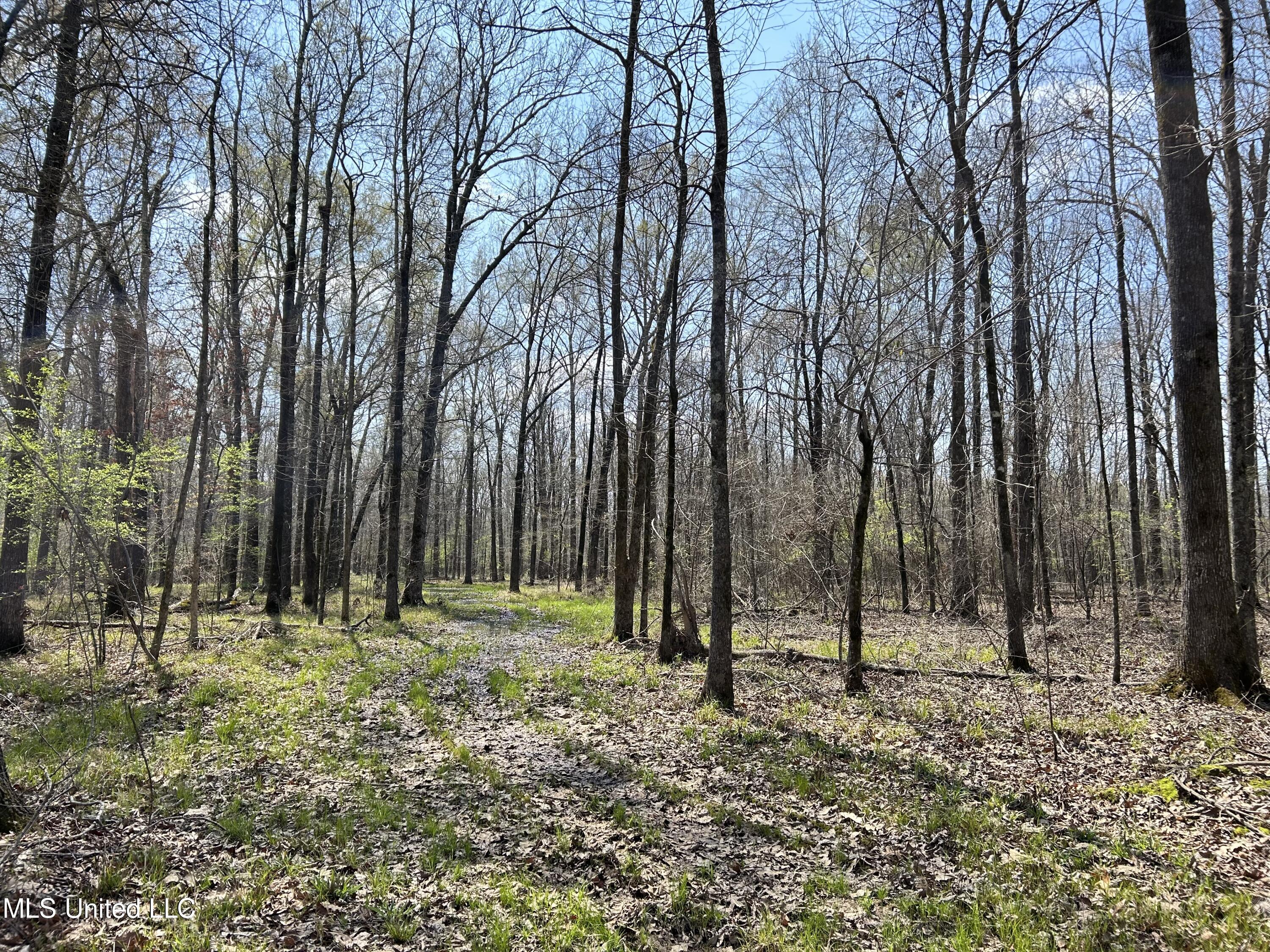 Ms-8 Calhoun City, MS 38916 - Photo 24 of 61 Photo Mar 23 2024, 12 41 40 PM