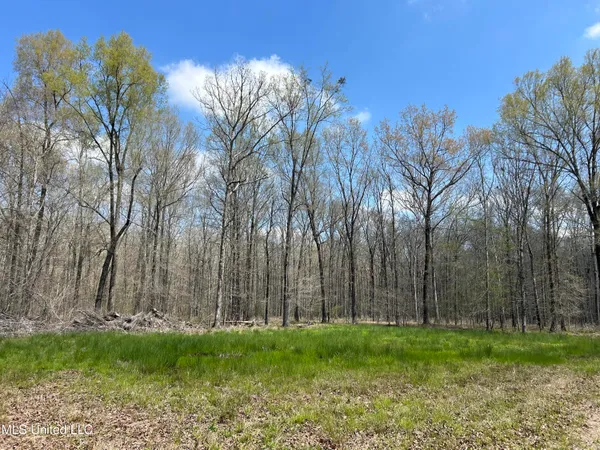 $923,685 | Ms-8, Calhoun City, MS 38916