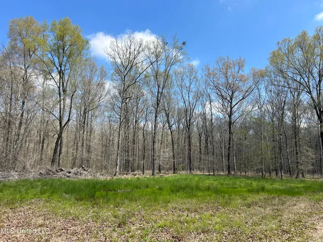 $923,685 | Ms-8, Calhoun City, MS 38916