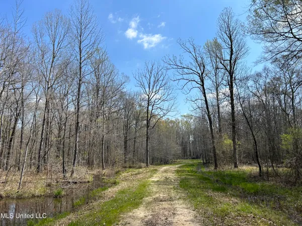 $923,685 | Ms-8, Calhoun City, MS 38916