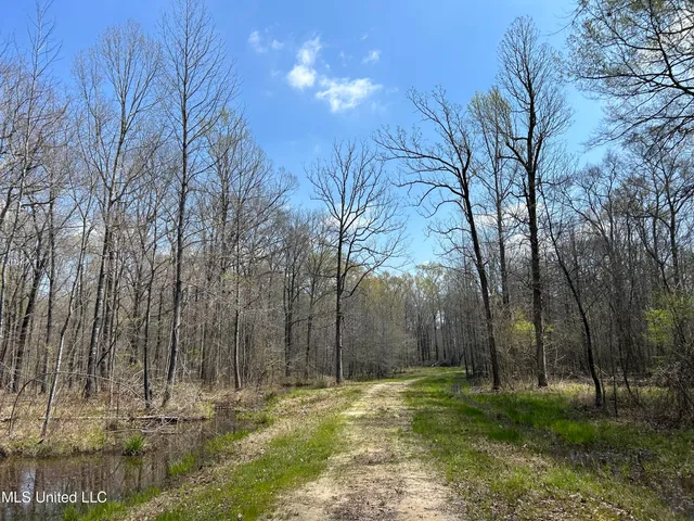 $923,685 | Ms-8, Calhoun City, MS 38916