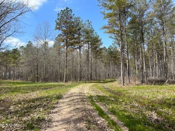 $923,685 | Ms-8, Calhoun City, MS 38916