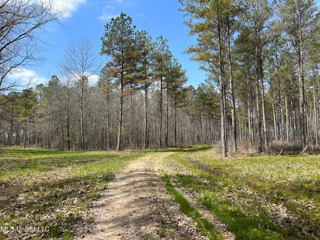 $923,685 | Ms-8, Calhoun City, MS 38916