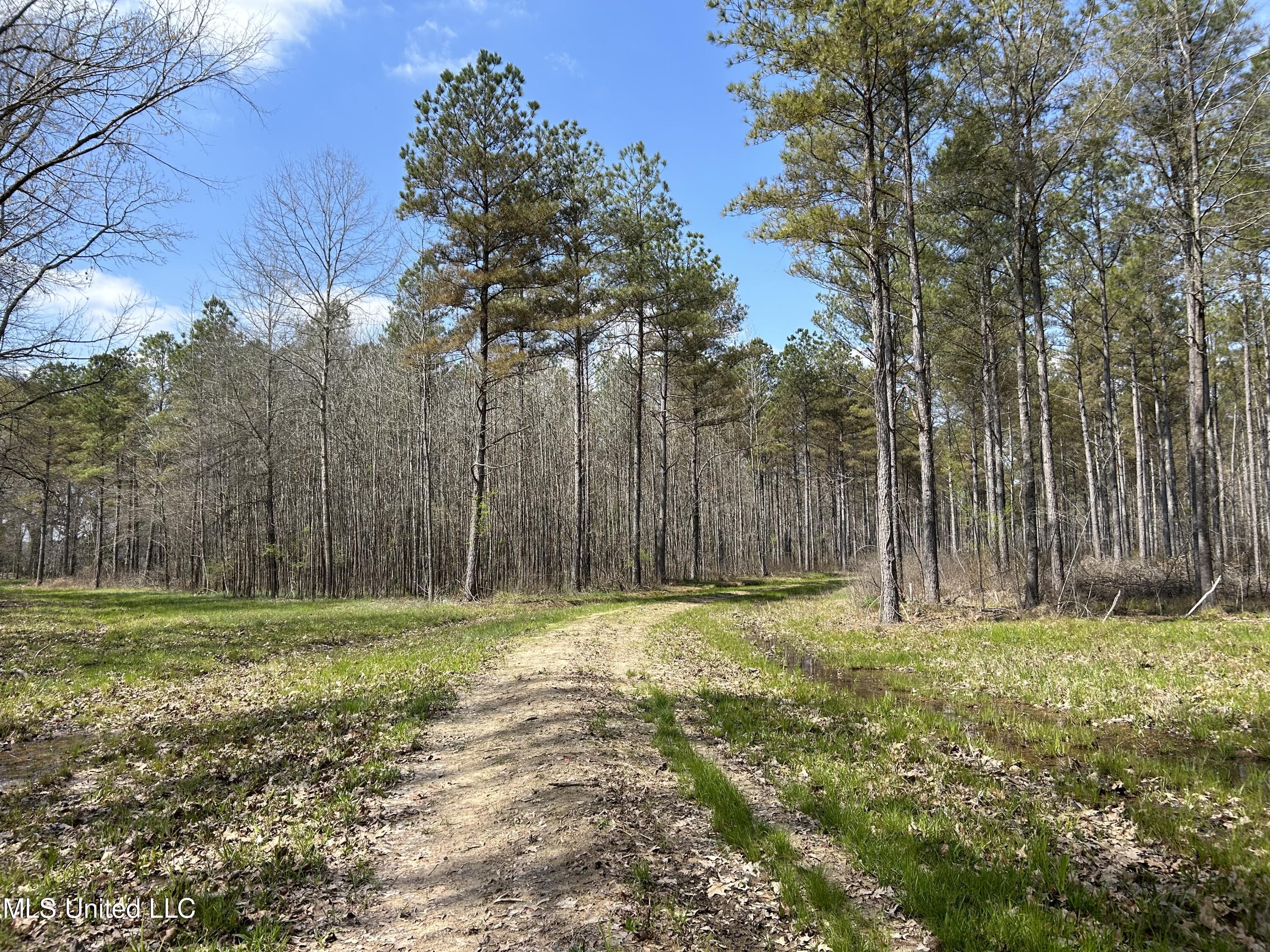 Ms-8 Calhoun City, MS 38916 - Photo 27 of 61 Photo Mar 23 2024, 12 49 12 PM