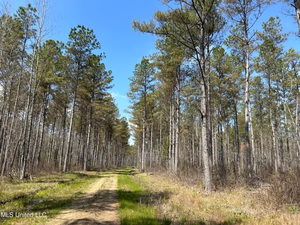 $923,685 | Ms-8, Calhoun City, MS 38916