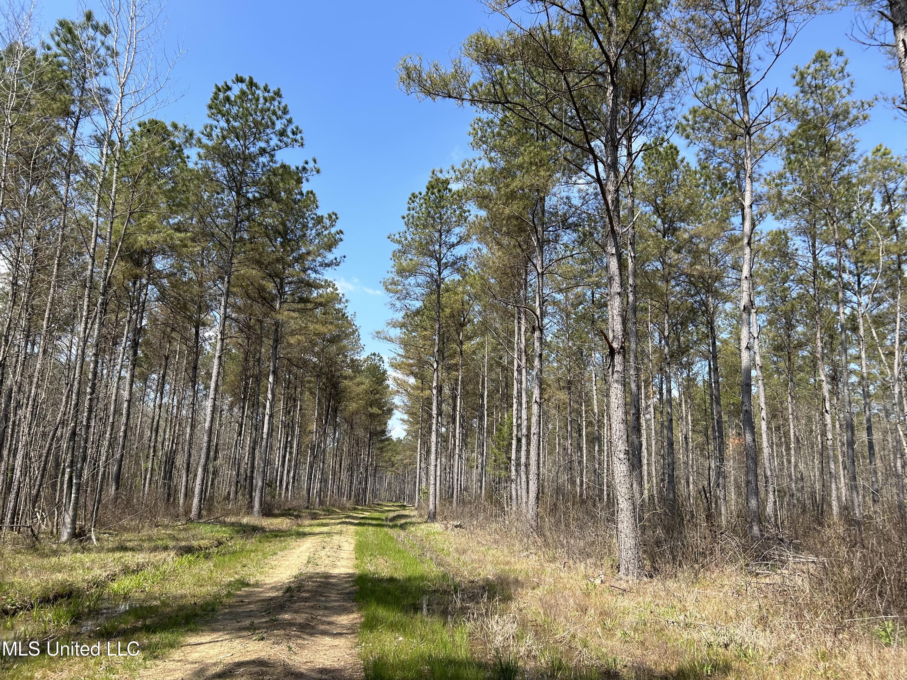 Ms-8 Calhoun City, MS 38916 - Photo 28 of 61 Photo Mar 23 2024, 12 49 53 PM