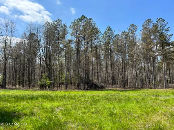 $923,685 | Ms-8, Calhoun City, MS 38916