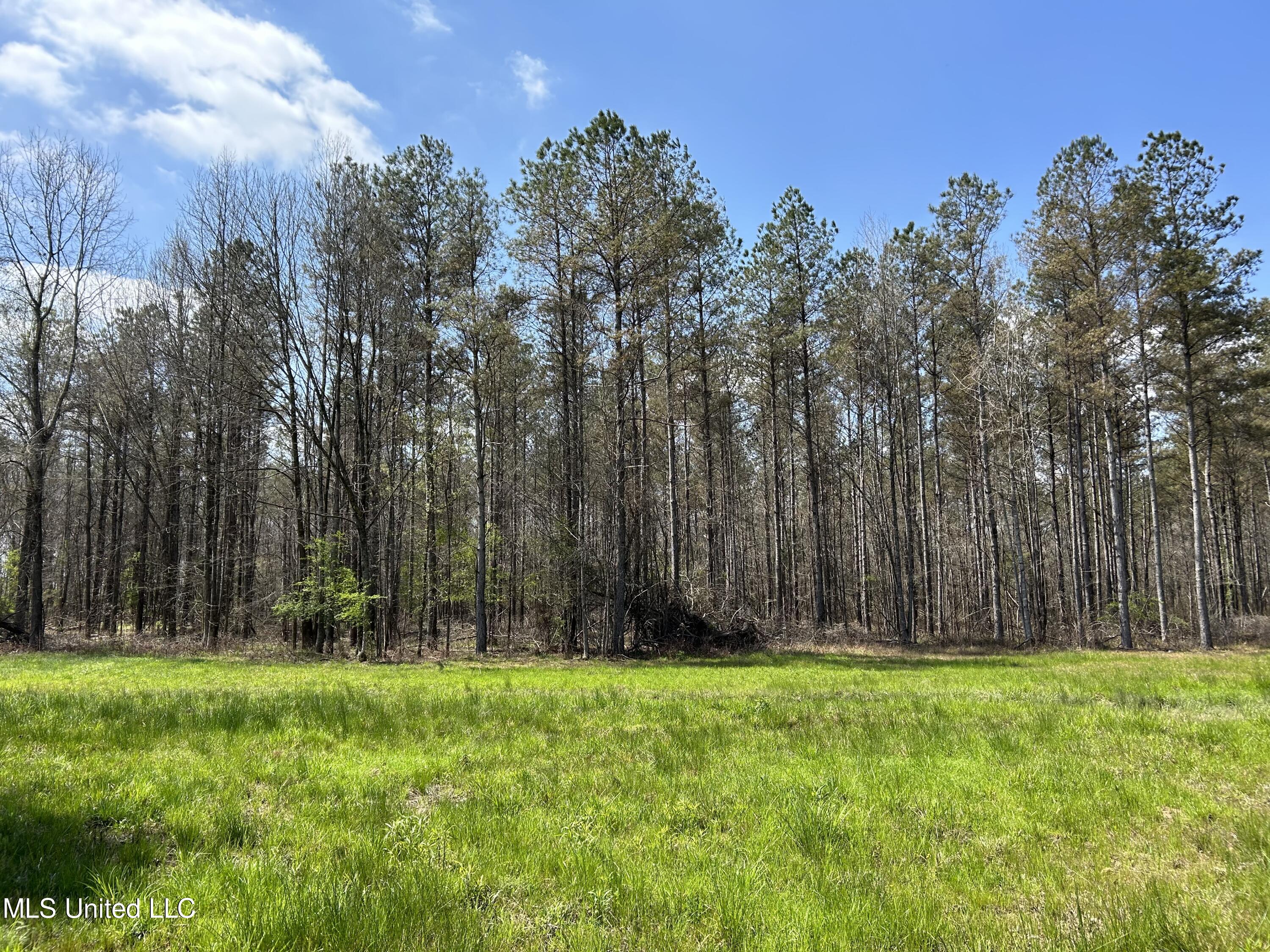Ms-8 Calhoun City, MS 38916 - Photo 29 of 61 Photo Mar 23 2024, 12 51 41 PM