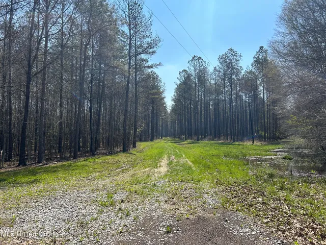 $923,685 | Ms-8, Calhoun City, MS 38916