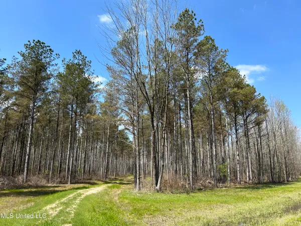 $923,685 | Ms-8, Calhoun City, MS 38916