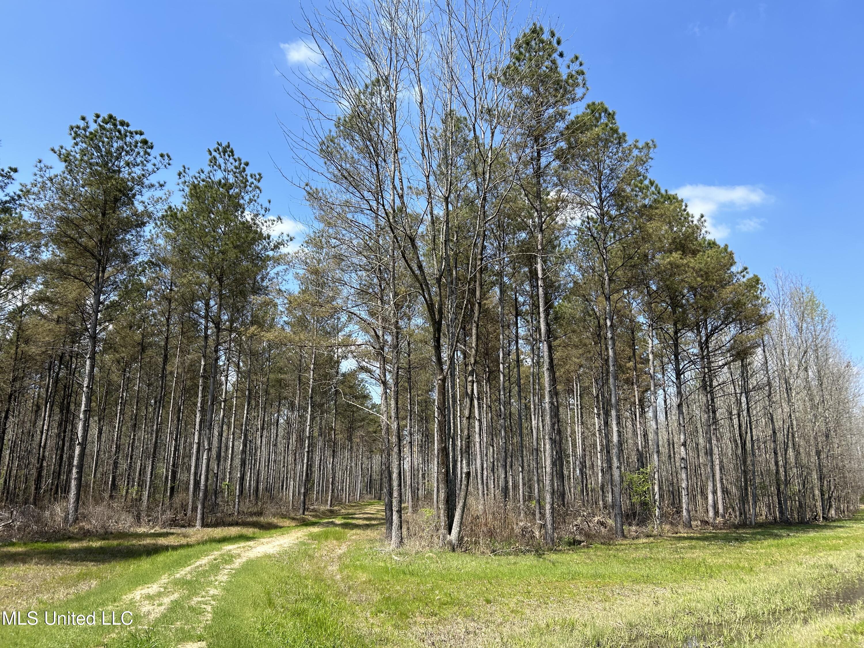 Ms-8 Calhoun City, MS 38916 - Photo 31 of 61 Photo Mar 23 2024, 12 51 58 PM