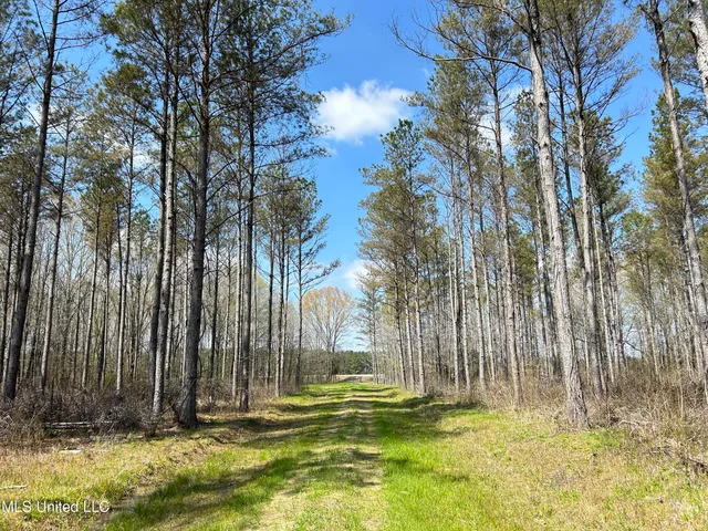 $923,685 | Ms-8, Calhoun City, MS 38916