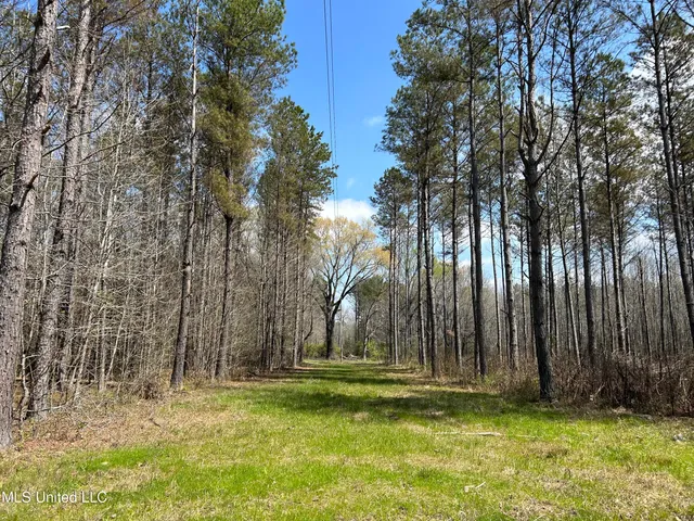 $923,685 | Ms-8, Calhoun City, MS 38916