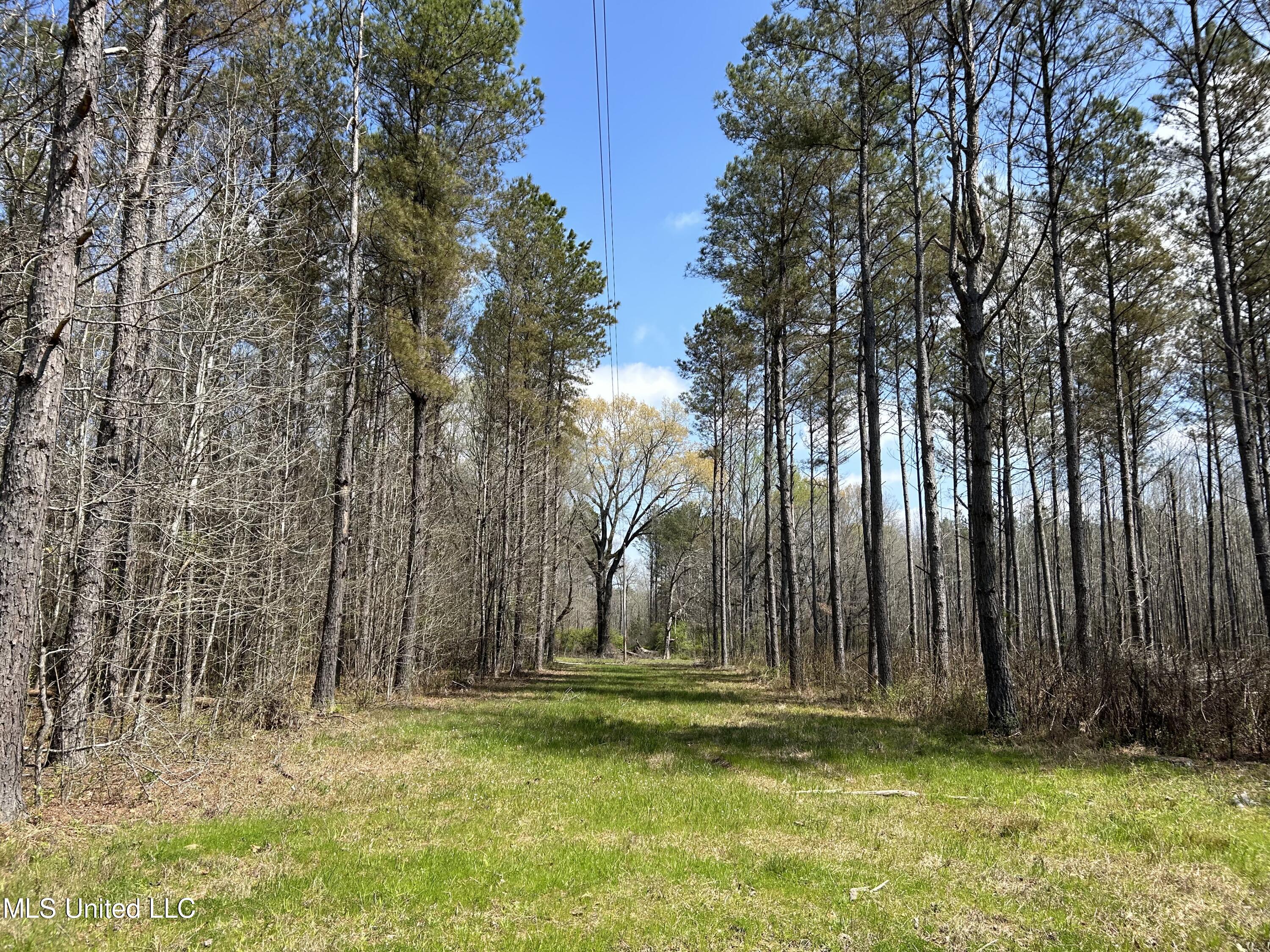 Ms-8 Calhoun City, MS 38916 - Photo 33 of 61 Photo Mar 23 2024, 12 53 10 PM