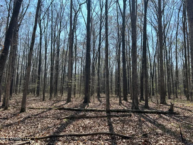 $923,685 | Ms-8, Calhoun City, MS 38916