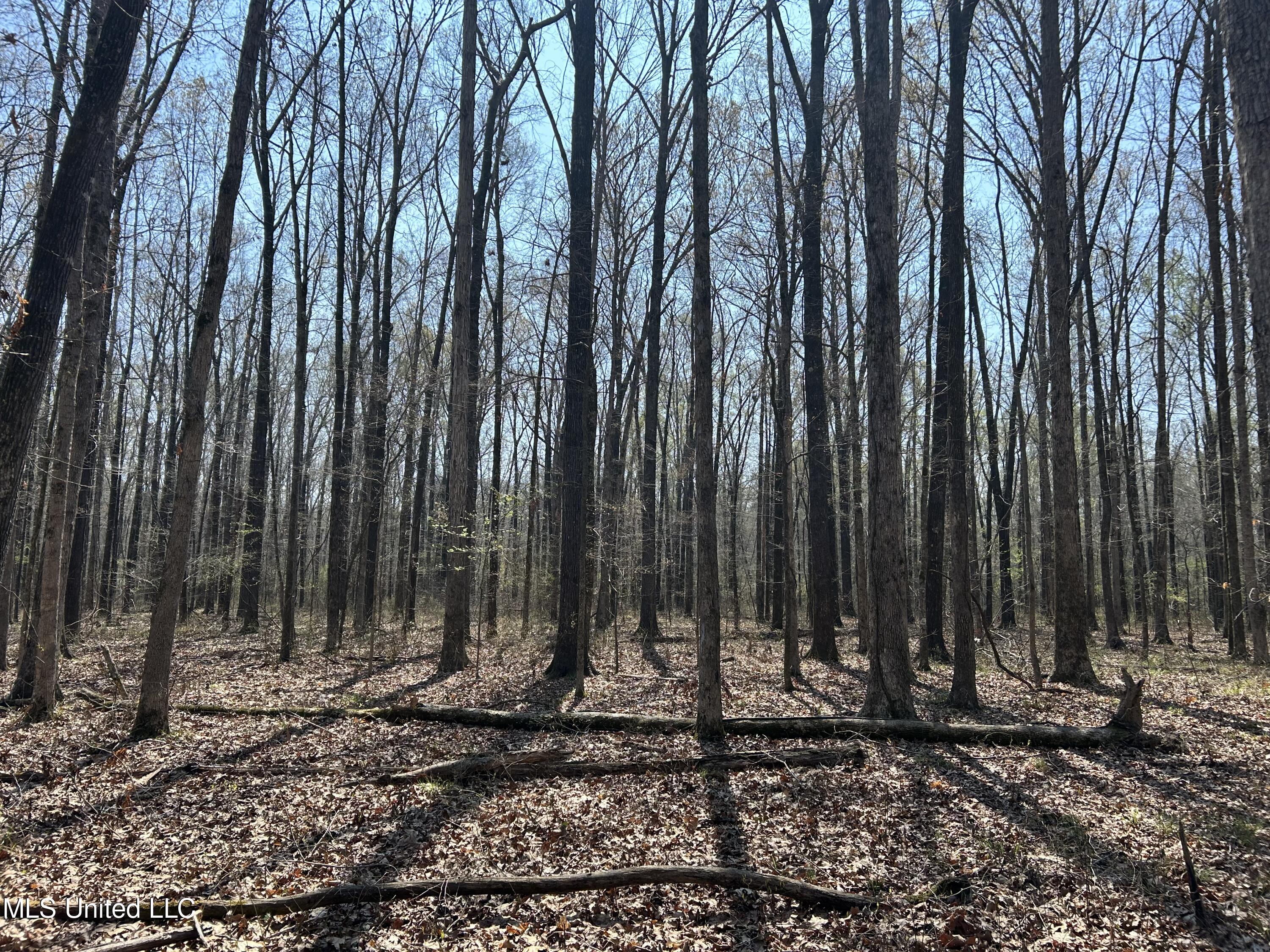 Ms-8 Calhoun City, MS 38916 - Photo 34 of 61 Photo Mar 23 2024, 11 50 32 AM