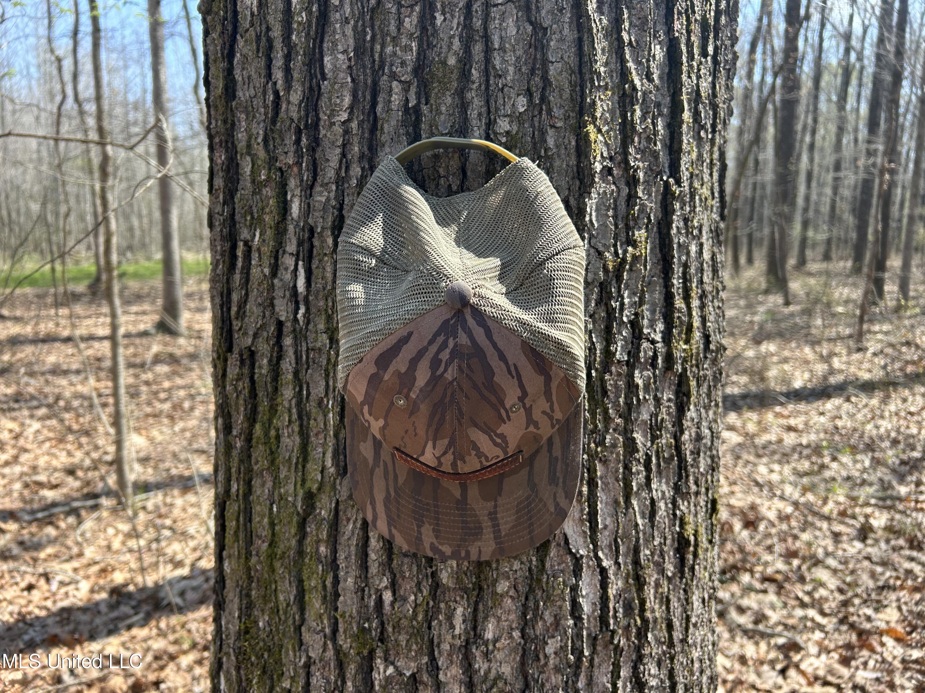 Ms-8 Calhoun City, MS 38916 - Photo 35 of 61 Photo Mar 23 2024, 11 51 14 AM
