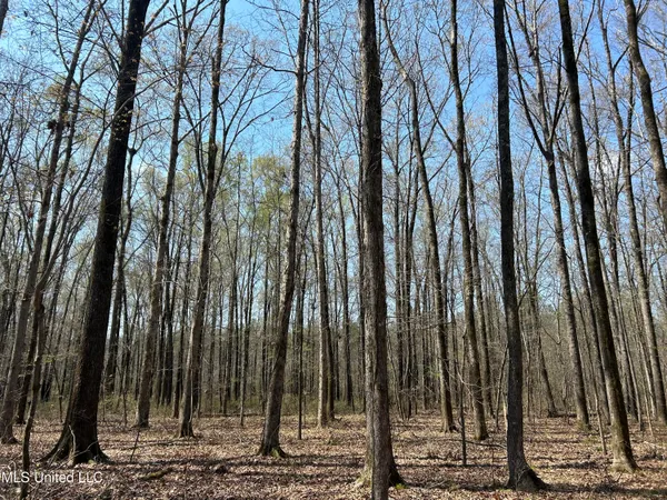 $923,685 | Ms-8, Calhoun City, MS 38916