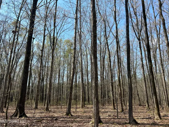 $923,685 | Ms-8, Calhoun City, MS 38916