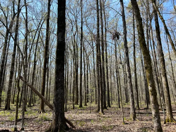 $923,685 | Ms-8, Calhoun City, MS 38916