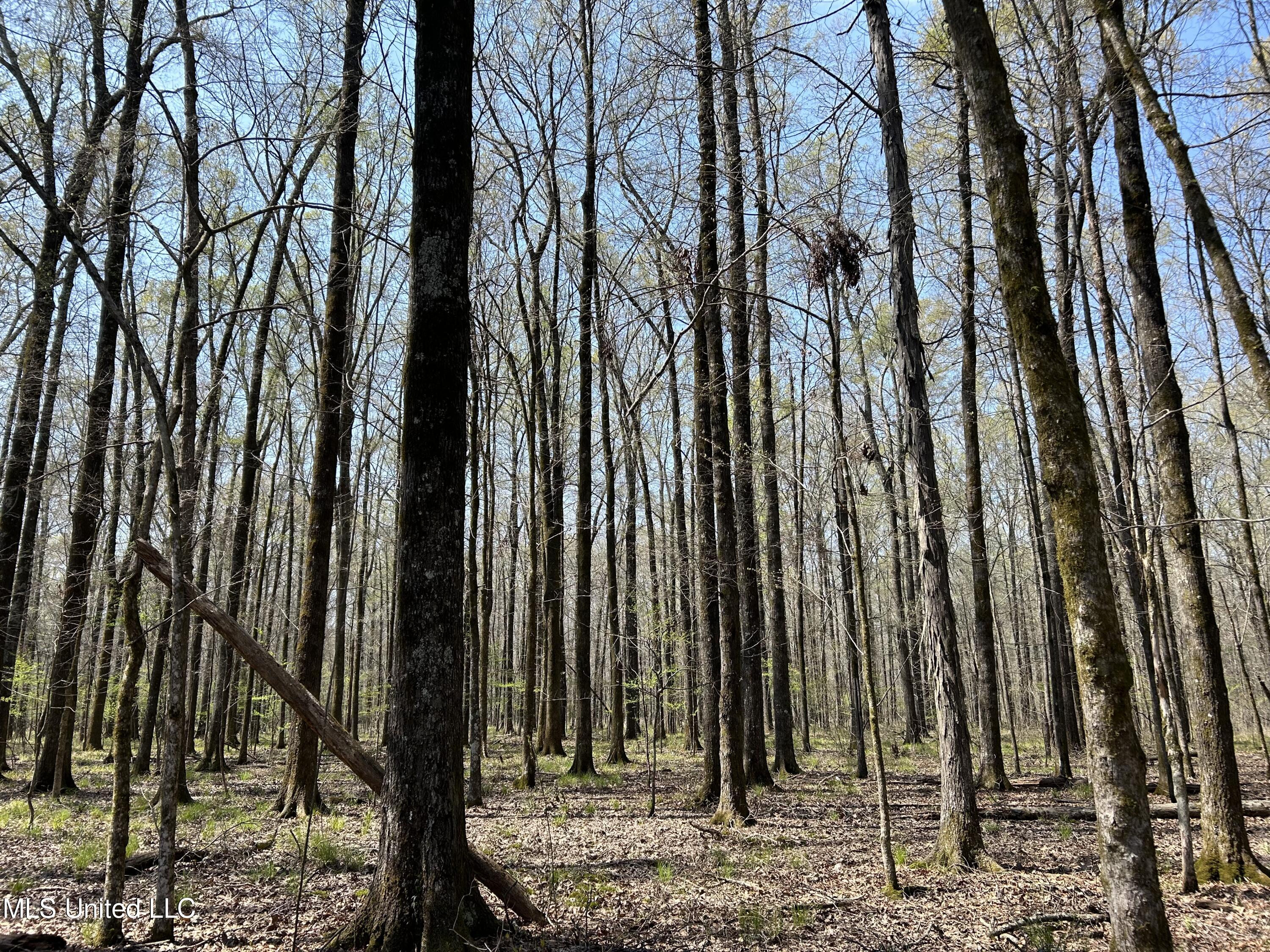 Ms-8 Calhoun City, MS 38916 - Photo 37 of 61 Photo Mar 23 2024, 11 58 48 AM