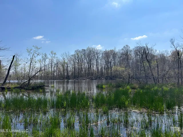 $923,685 | Ms-8, Calhoun City, MS 38916