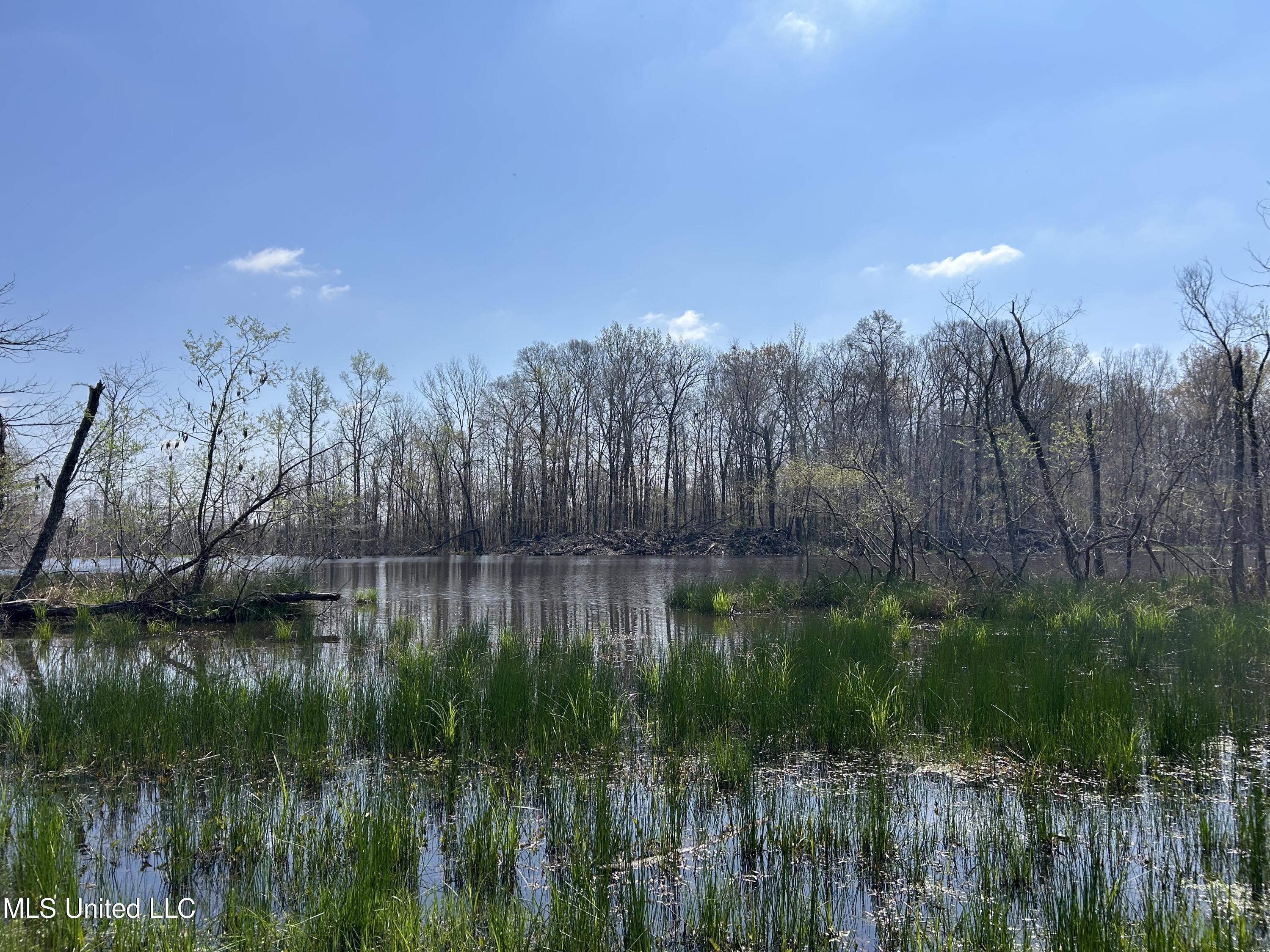 Ms-8 Calhoun City, MS 38916 - Photo 38 of 61 Photo Mar 23 2024, 12 04 09 PM