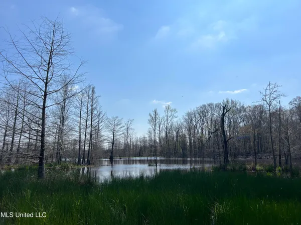 $923,685 | Ms-8, Calhoun City, MS 38916