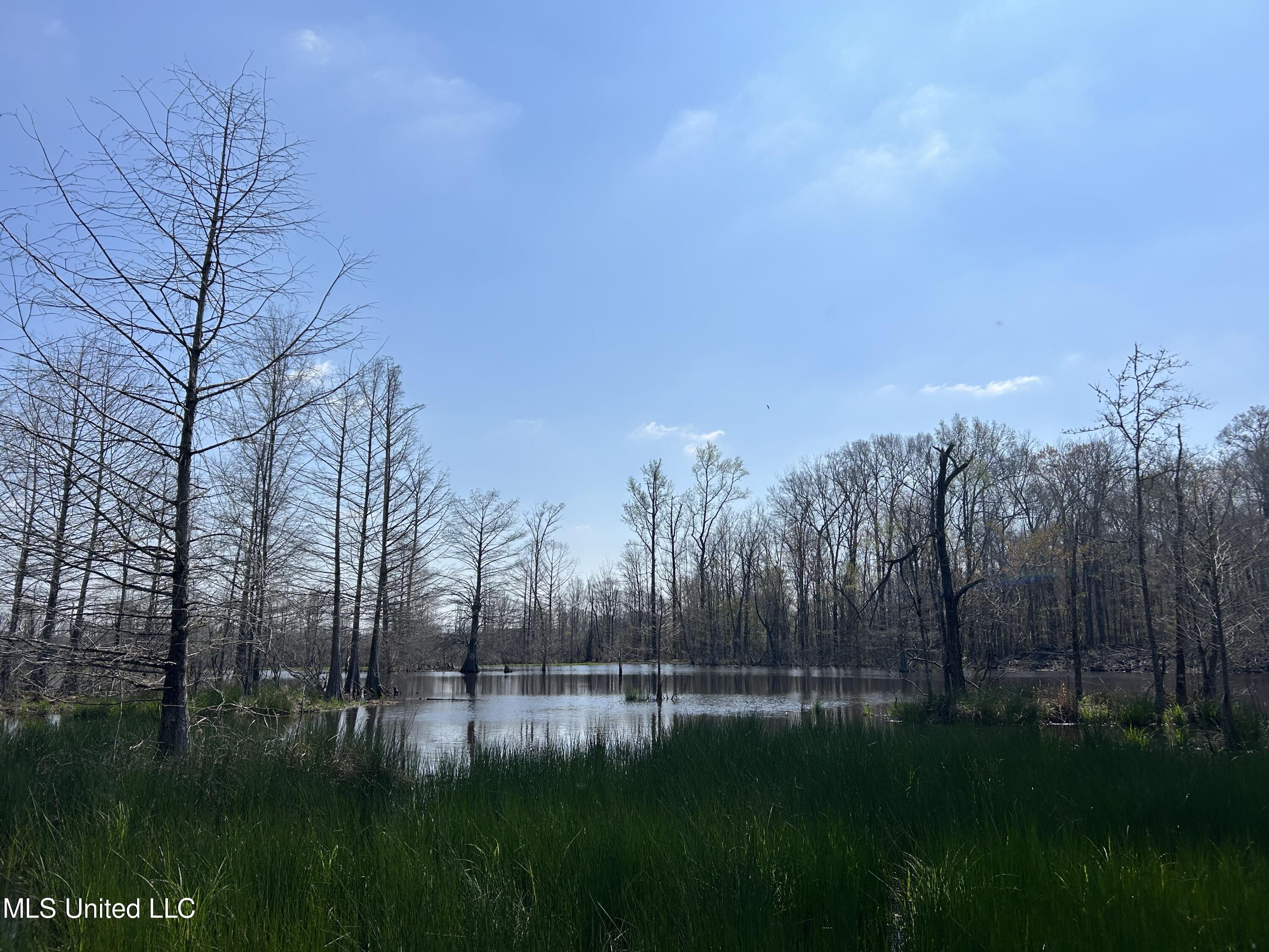 Ms-8 Calhoun City, MS 38916 - Photo 39 of 61 Photo Mar 23 2024, 12 04 34 PM