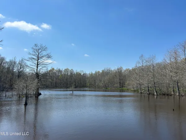 $923,685 | Ms-8, Calhoun City, MS 38916