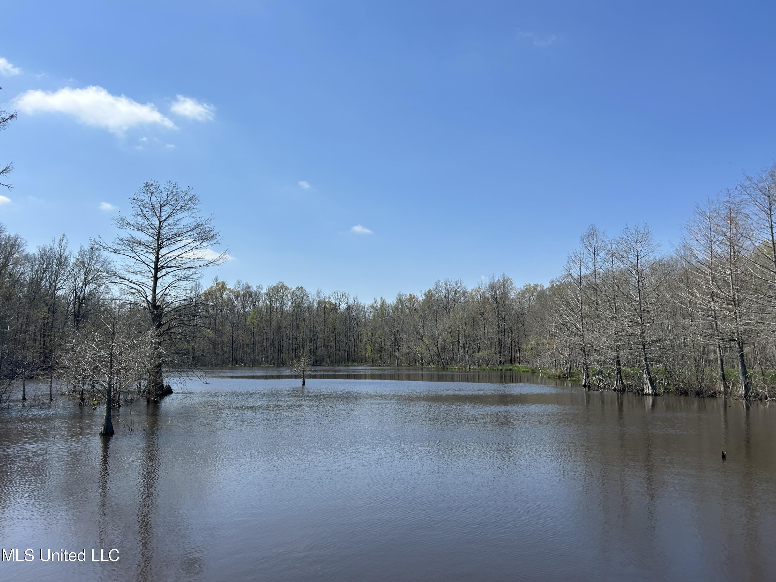 Ms-8 Calhoun City, MS 38916 - Photo 40 of 61 Photo Mar 23 2024, 12 05 53 PM